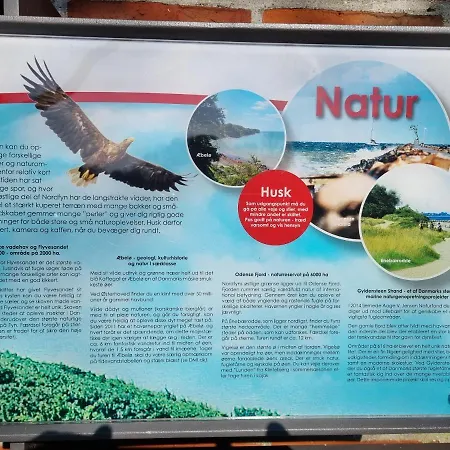 Birkelund Bed and breakfast Otterup