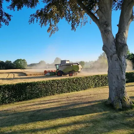 Birkelund Bed & Breakfast Otterup