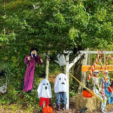 Bed & Breakfast Birkelund Otterup